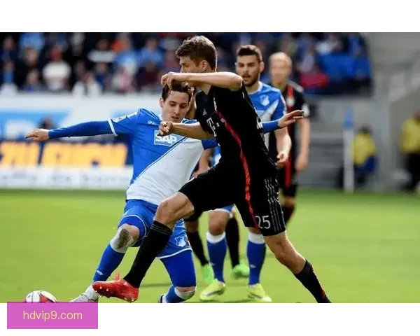 云达不莱梅主场迎战霍芬海姆能否守住主场荣耀之战关键对决前瞻分析